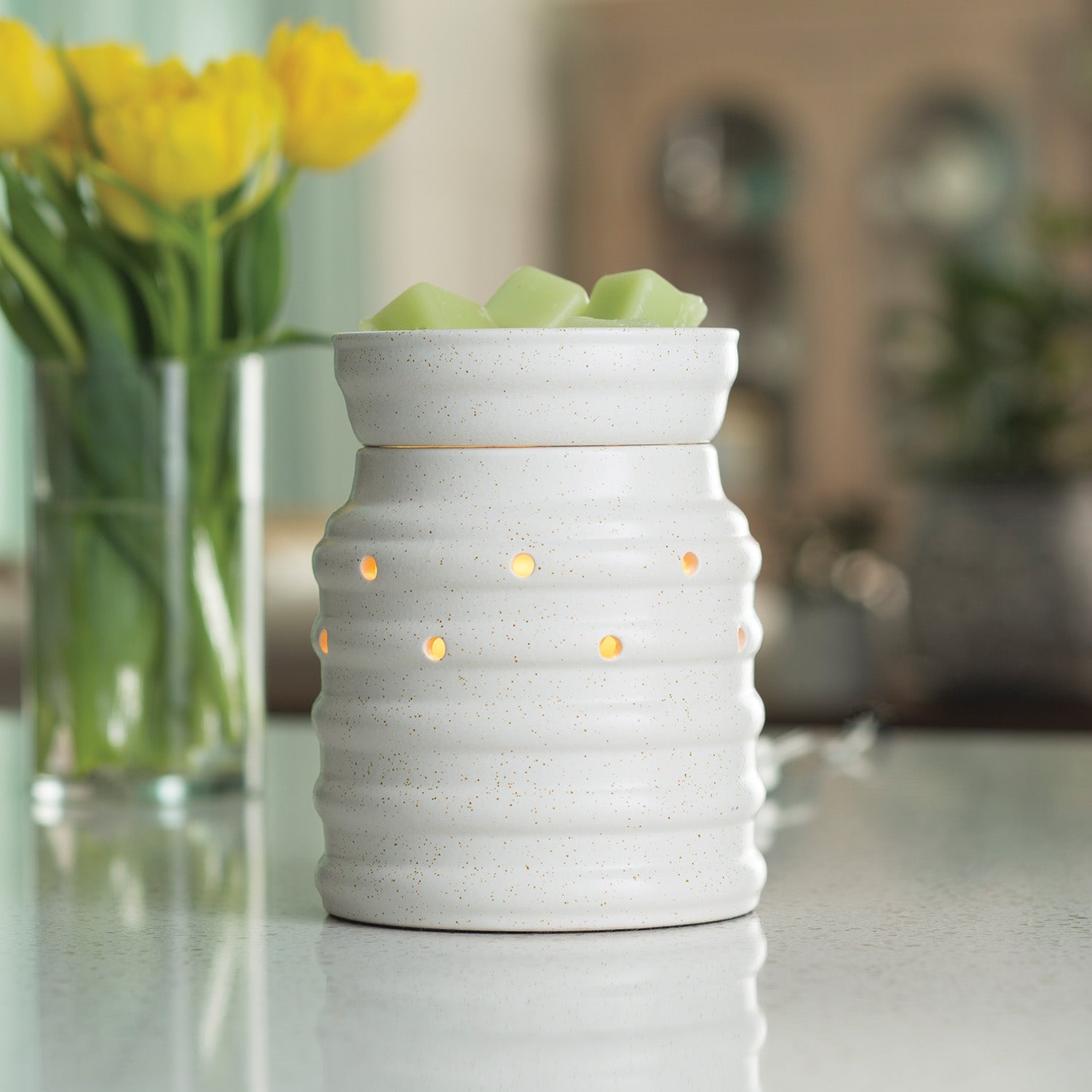 Farmhouse Illumination Warmer - by Stevie Buoy
