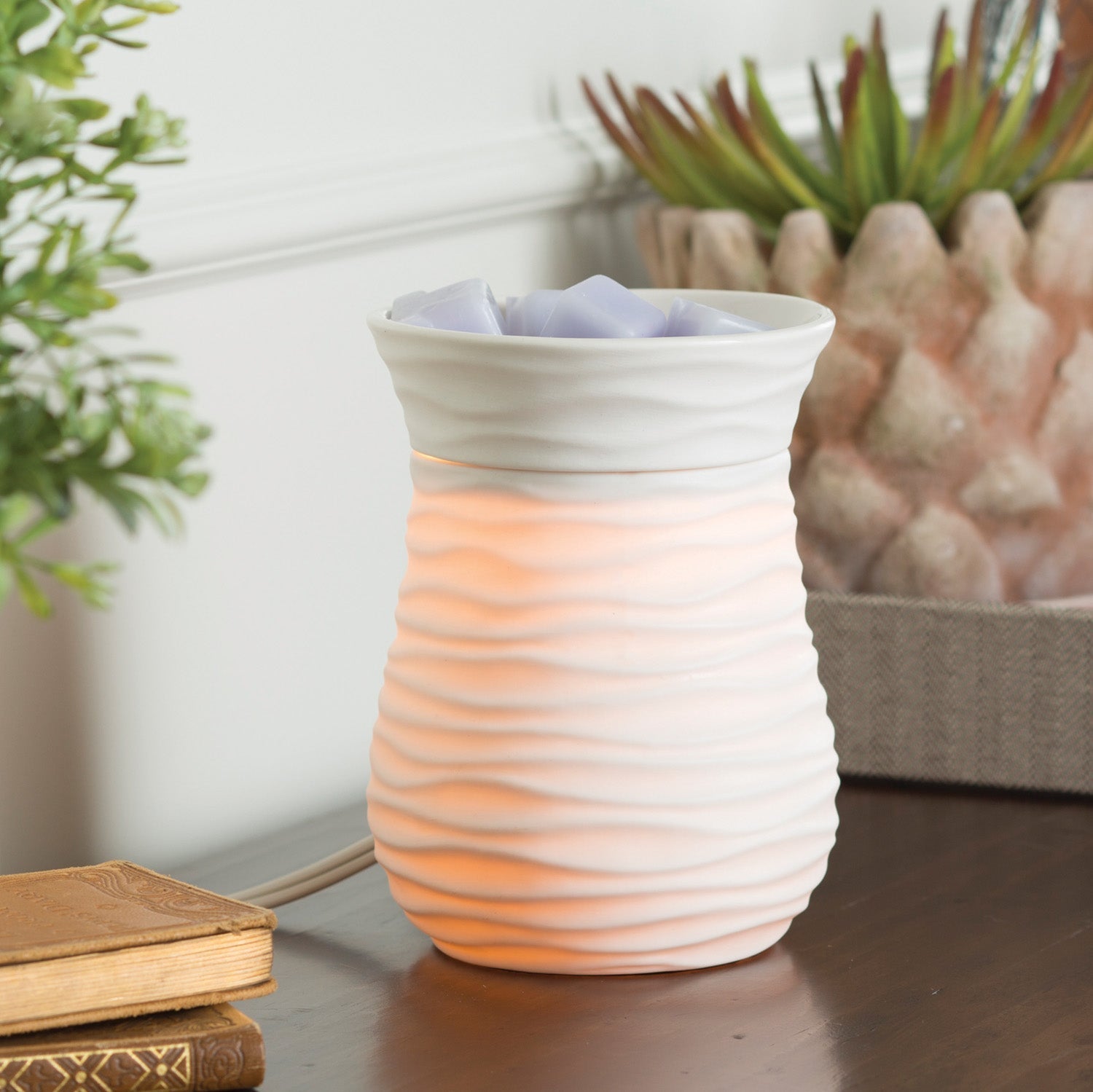 Harmony Illumination Warmer - by Stevie Buoy