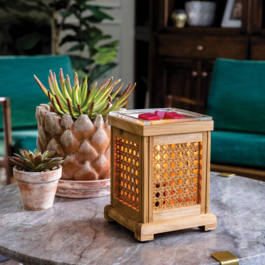 Wood & Cane Vintage Bulb Illumination Warmer - by Stevie Buoy