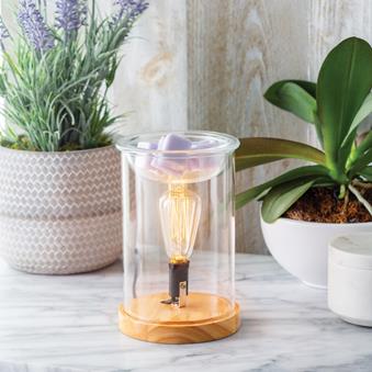 Wood & Glass Vintage Bulb Illumination Warmer - by Stevie Buoy