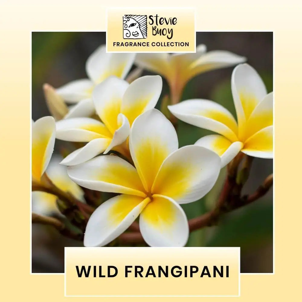 Wild Frangipani Fragrance Stevie Buoy Australia