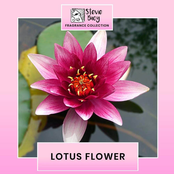 Lotus Flower - Shop Now @ Stevie Buoy
