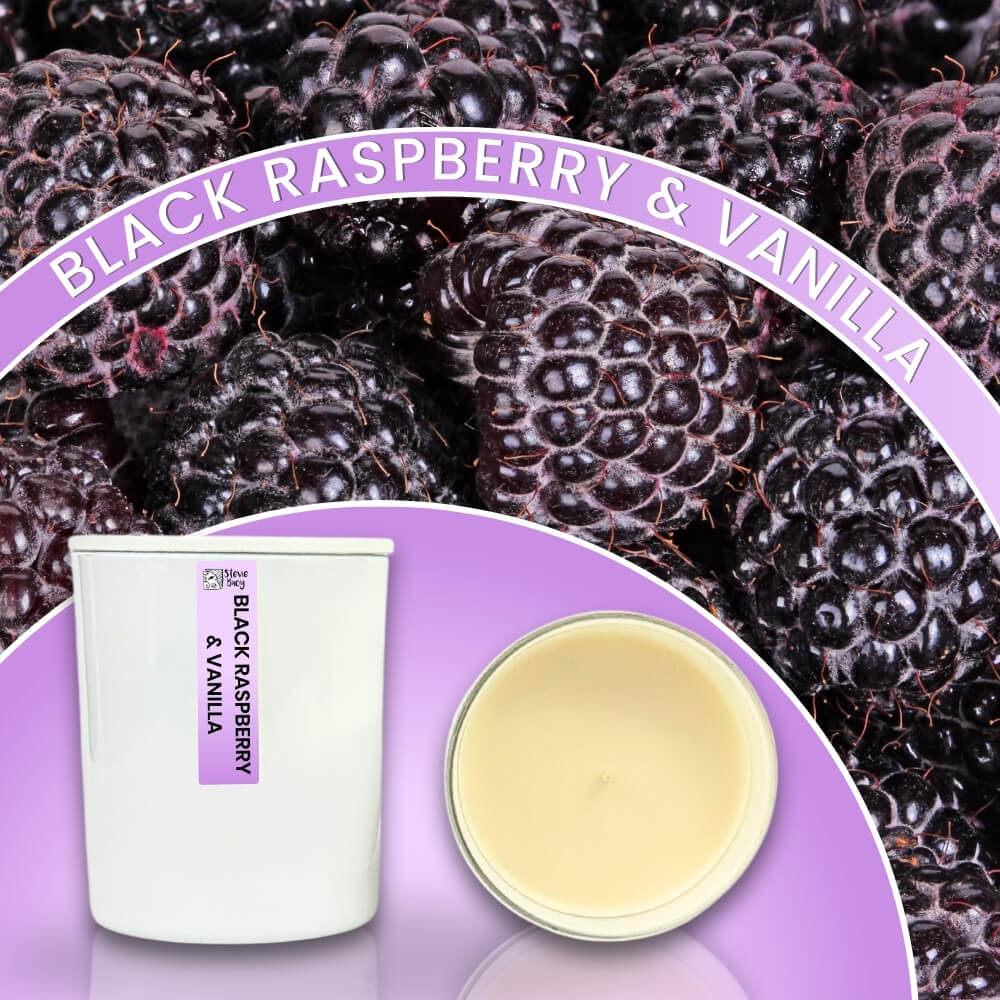 Black Raspberry &amp; Vanilla Scented Cocosoy Candles - Large by Stevie Buoy
