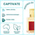 Captivate Perfume Oil - 15ml by Stevie Buoy
