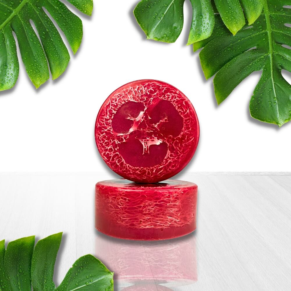 Champagne & Strawberries Loofah Soap Bar - by Stevie Buoy