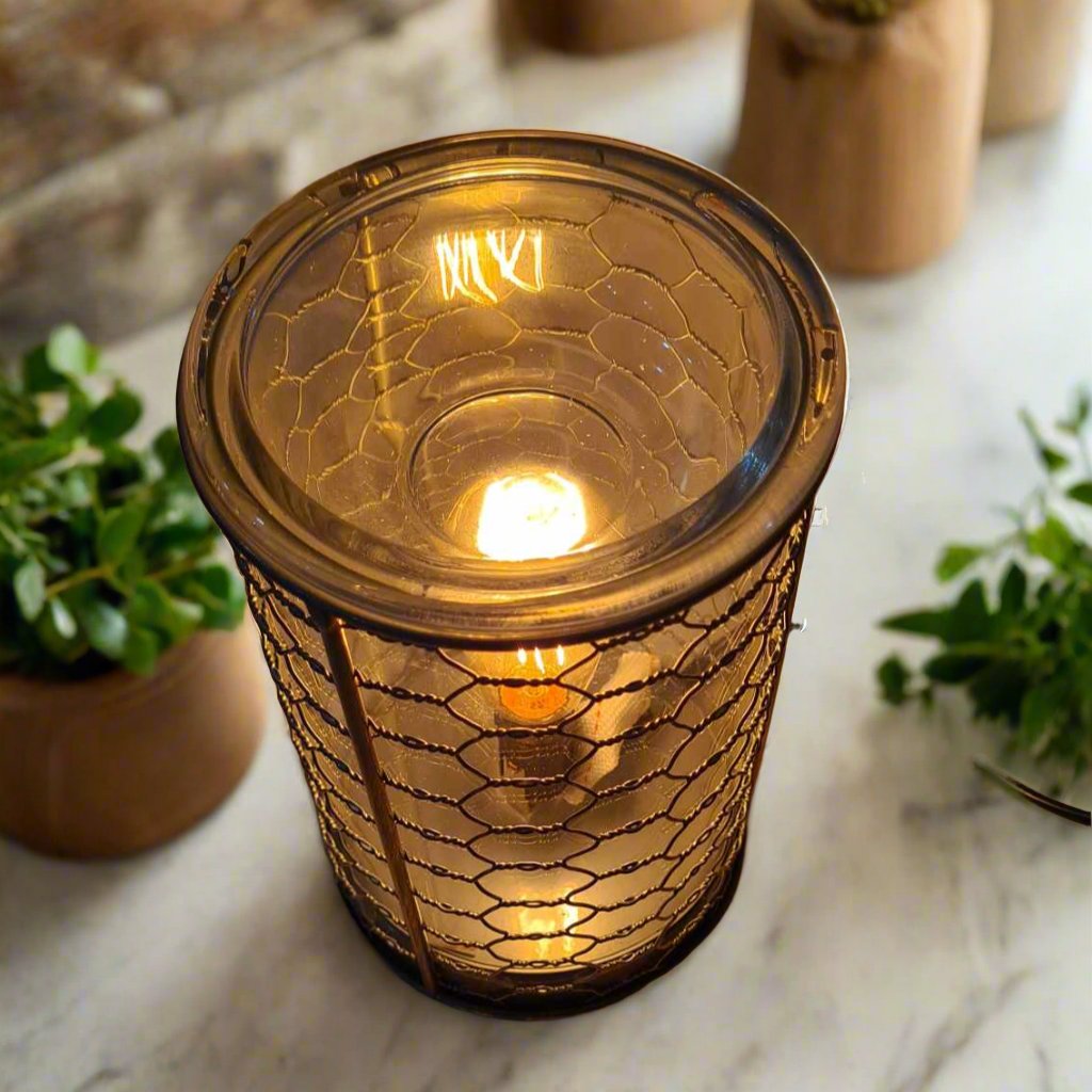 Chicken Wire Edison Bulb Illumination Warmer - by Stevie Buoy