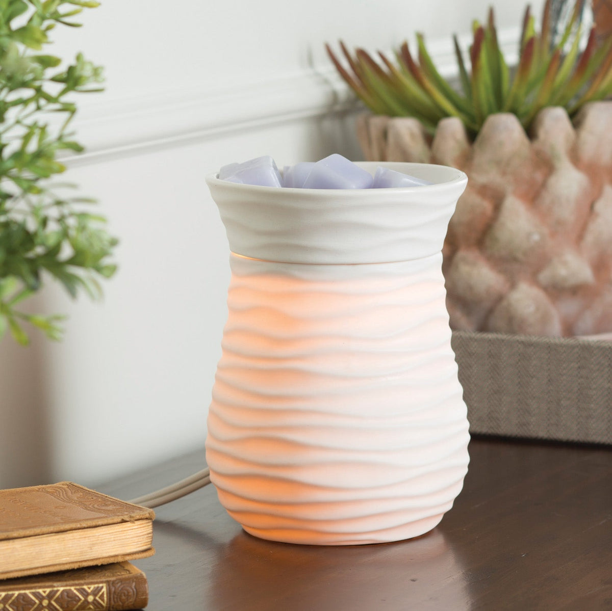 Harmony Illumination Warmer - by Stevie Buoy