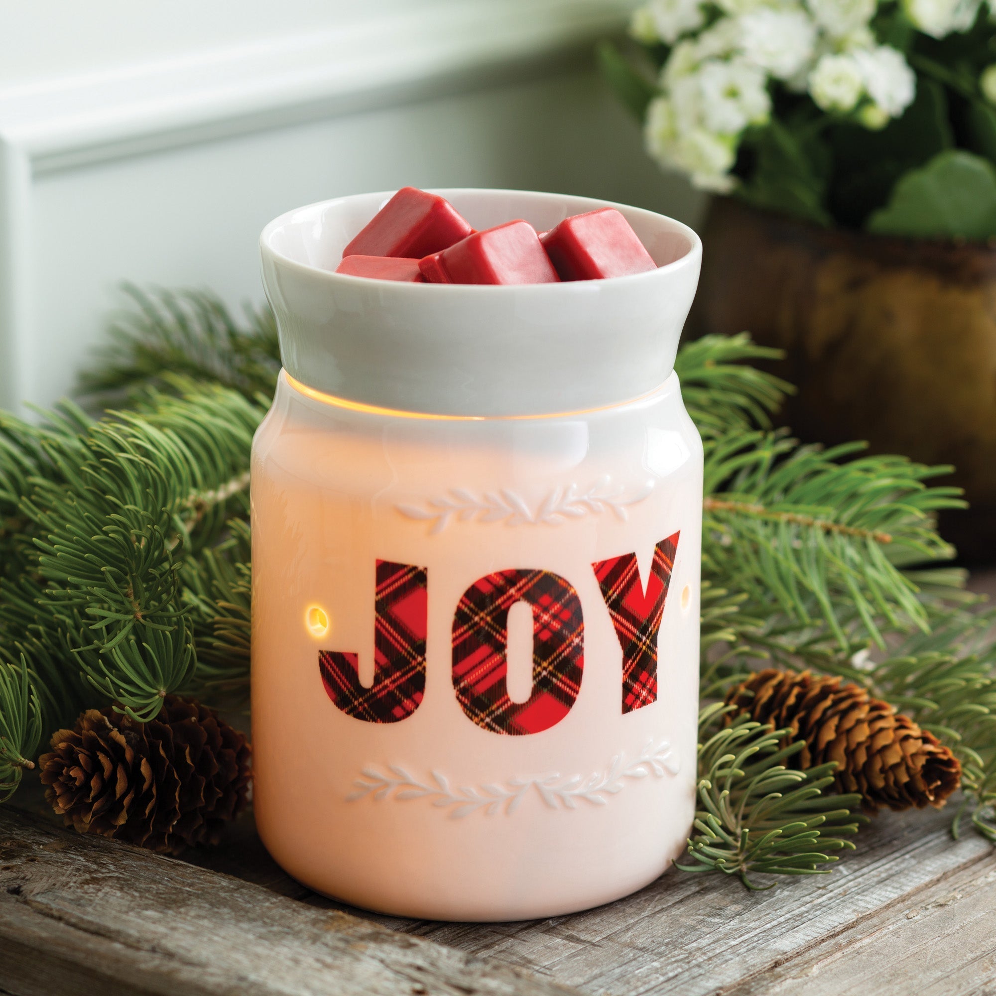 Joy Illumination Warmer - by Stevie Buoy