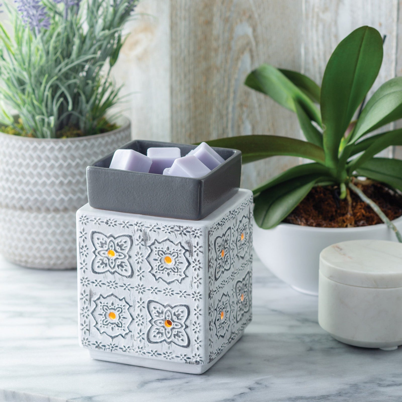 Modern Cottage Illumination Warmer - by Stevie Buoy