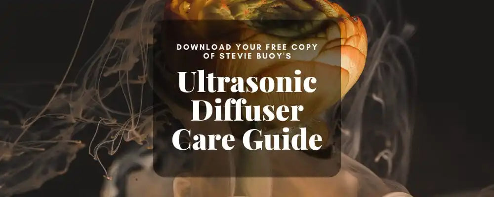 Promotional banner for an Ultrasonic Diffuser Care Guide download.