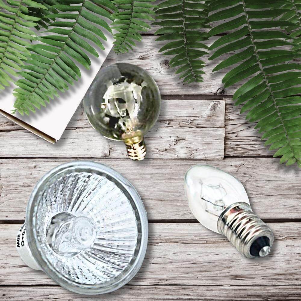 Replacement Globes for Wax Warmer - by Stevie Buoy
