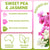 Sweet Pea & Jasmine Luxe Perfume - 50ml by Stevie Buoy
