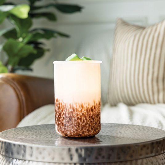 Tiger Shell Glass Illumination Warmer - by Stevie Buoy