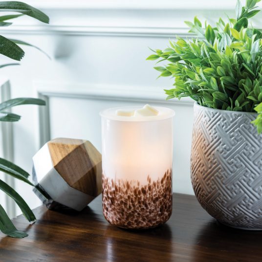 Tiger Shell Glass Illumination Warmer - by Stevie Buoy