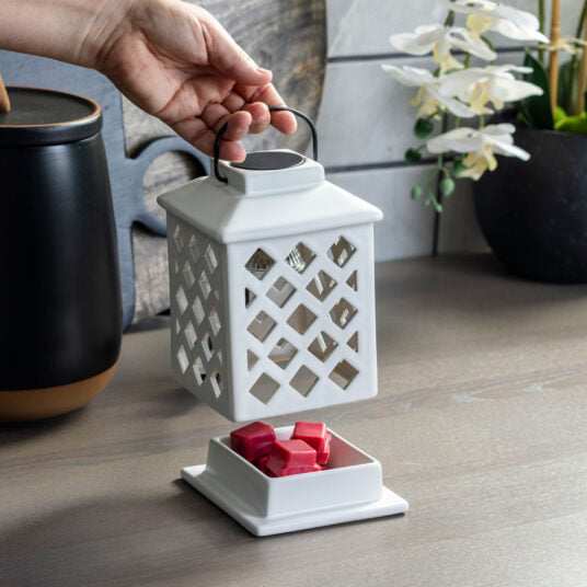 Trellis Lantern Canopy Illumination Warmer - by Stevie Buoy