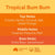 Tropical Bum Bum Perfume - 50ml by Stevie Buoy